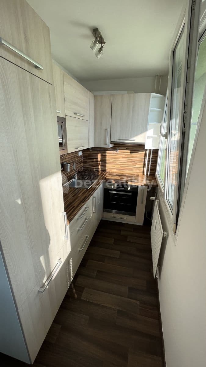 1 bedroom with open-plan kitchen flat to rent, 50 m², K Polabinám, Pardubice, Pardubický Region