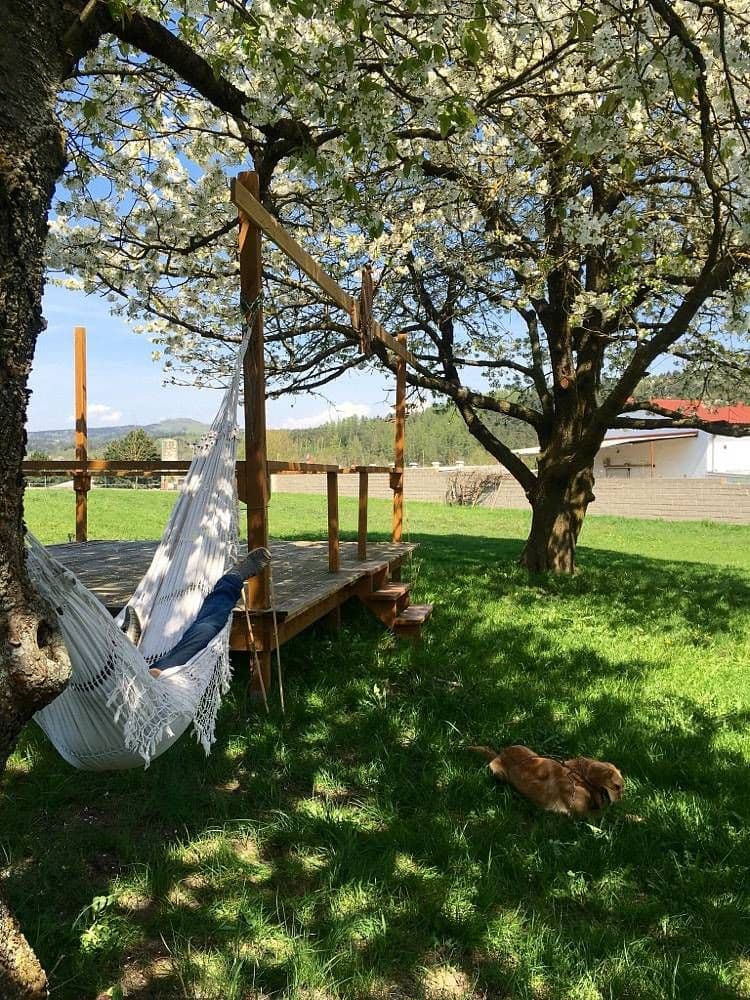 recreational property to rent, 0 m², Dřevěnice, Královéhradecký Region recreational property to rent, 0 m², Dřevěnice, Královéhradecký Region