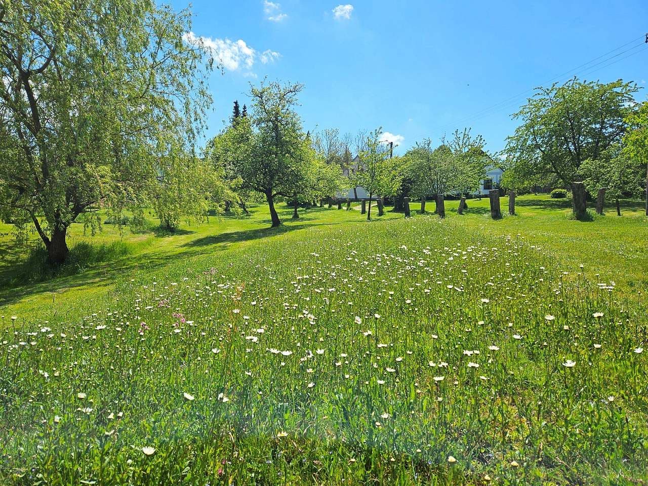 recreational property to rent, 0 m², Studená, Jihočeský Region recreational property to rent, 0 m², Studená, Jihočeský Region