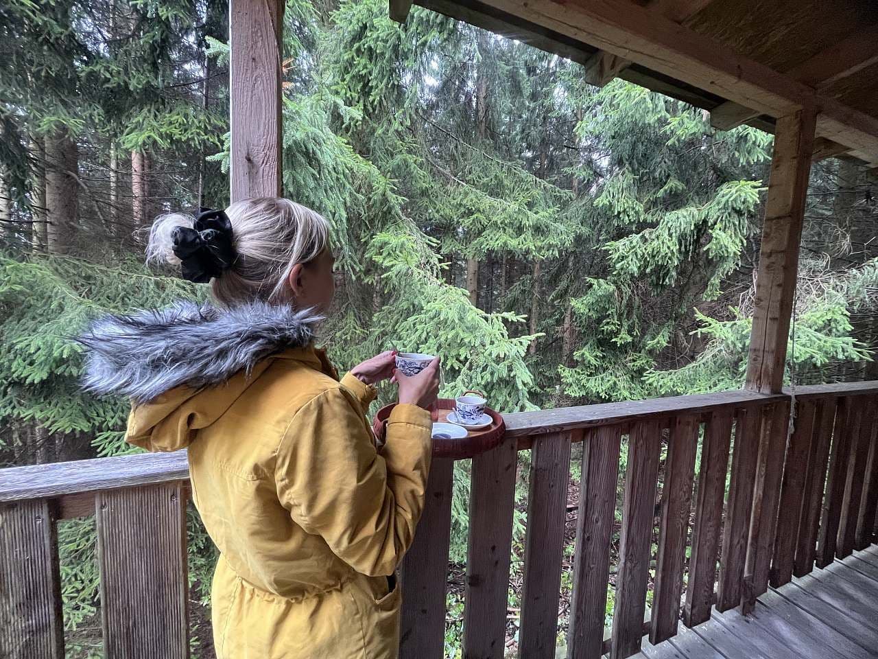 recreational property to rent, 0 m², Desná, Liberecký Region recreational property to rent, 0 m², Desná, Liberecký Region