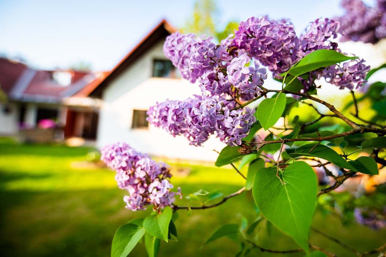 recreational property to rent, 0 m², Horní Planá, Jihočeský Region recreational property to rent, 0 m², Horní Planá, Jihočeský Region