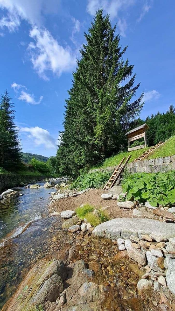 recreational property to rent, 0 m², Loučná nad Desnou, Olomoucký Region recreational property to rent, 0 m², Loučná nad Desnou, Olomoucký Region