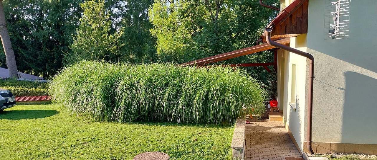 recreational property to rent, 0 m², Nekoř, Pardubický Region recreational property to rent, 0 m², Nekoř, Pardubický Region