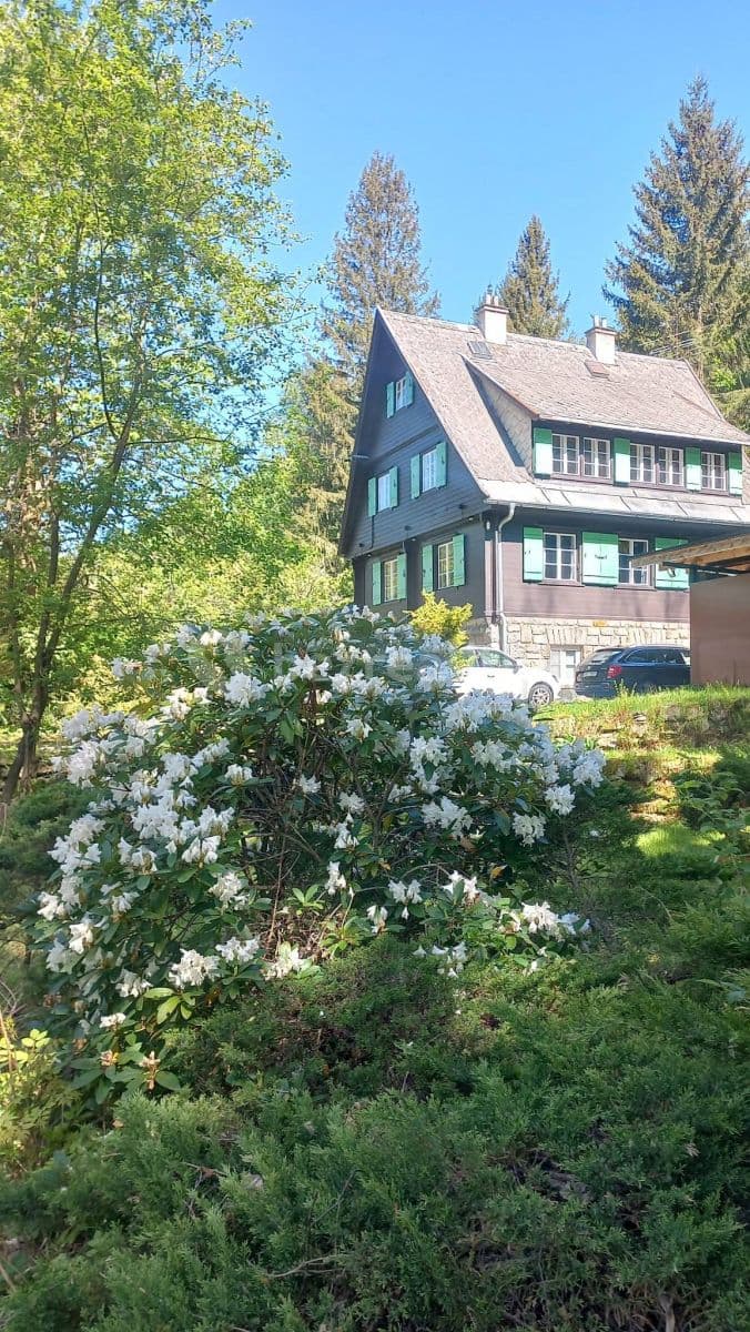 recreational property to rent, 0 m², Bělá pod Pradědem, Olomoucký Region recreational property to rent, 0 m², Bělá pod Pradědem, Olomoucký Region