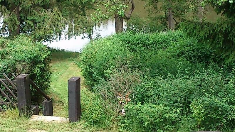 recreational property to rent, 0 m², Cetoraz, Vysočina Region recreational property to rent, 0 m², Cetoraz, Vysočina Region