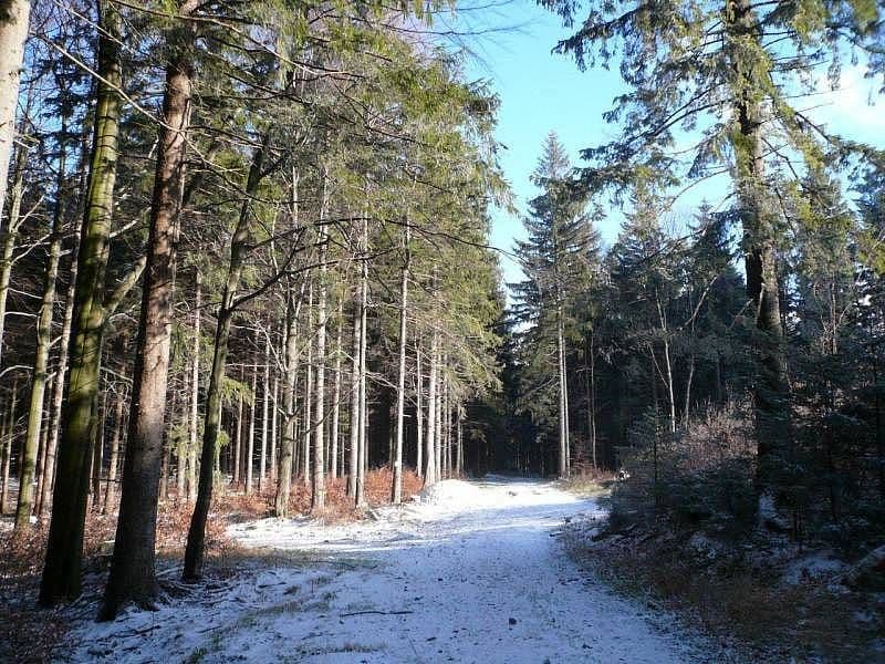 recreational property to rent, 0 m², Česká Ves, Olomoucký Region recreational property to rent, 0 m², Česká Ves, Olomoucký Region