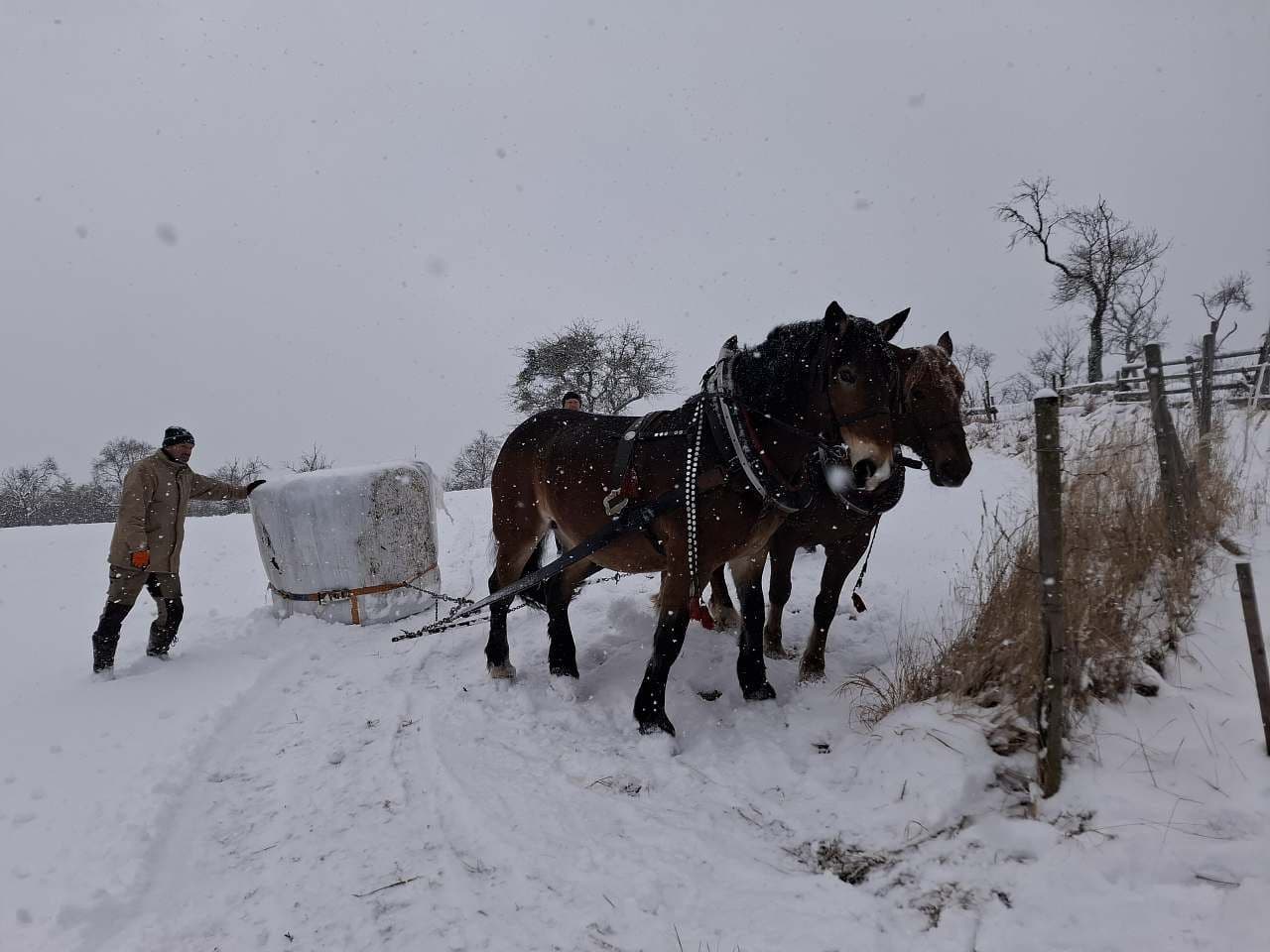 recreational property to rent, 0 m², Huslenky, Zlínský Region recreational property to rent, 0 m², Huslenky, Zlínský Region