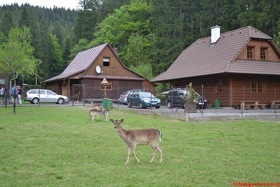 recreational property to rent, 0 m², Velké Karlovice, Zlínský Region recreational property to rent, 0 m², Velké Karlovice, Zlínský Region