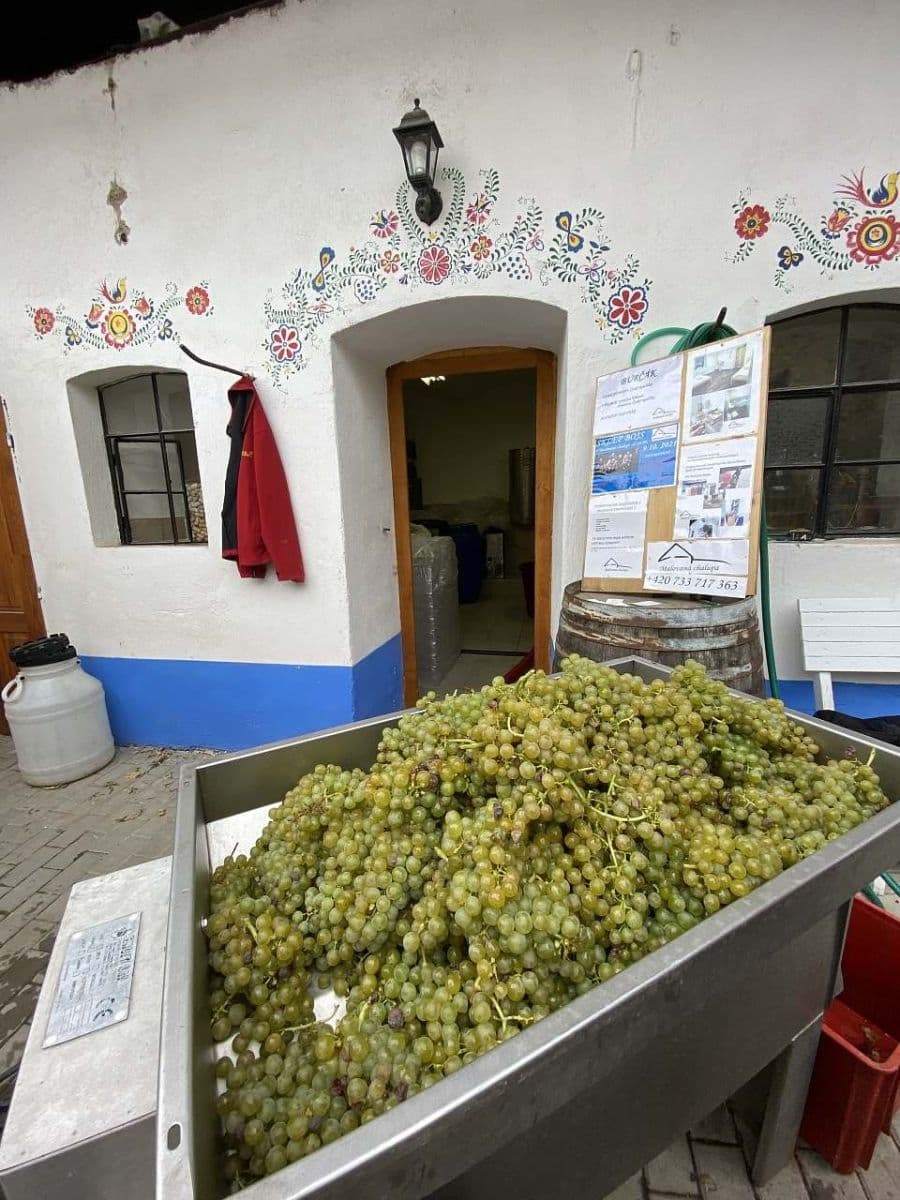 recreational property to rent, 0 m², Hodonice, Jihomoravský Region recreational property to rent, 0 m², Hodonice, Jihomoravský Region