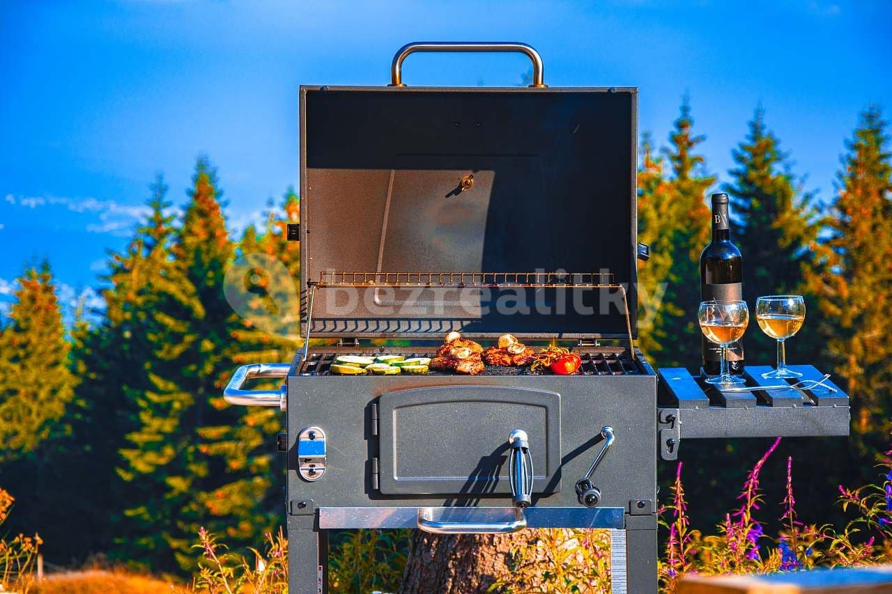 recreational property to rent, 0 m², Janské Lázně, Královéhradecký Region recreational property to rent, 0 m², Janské Lázně, Královéhradecký Region