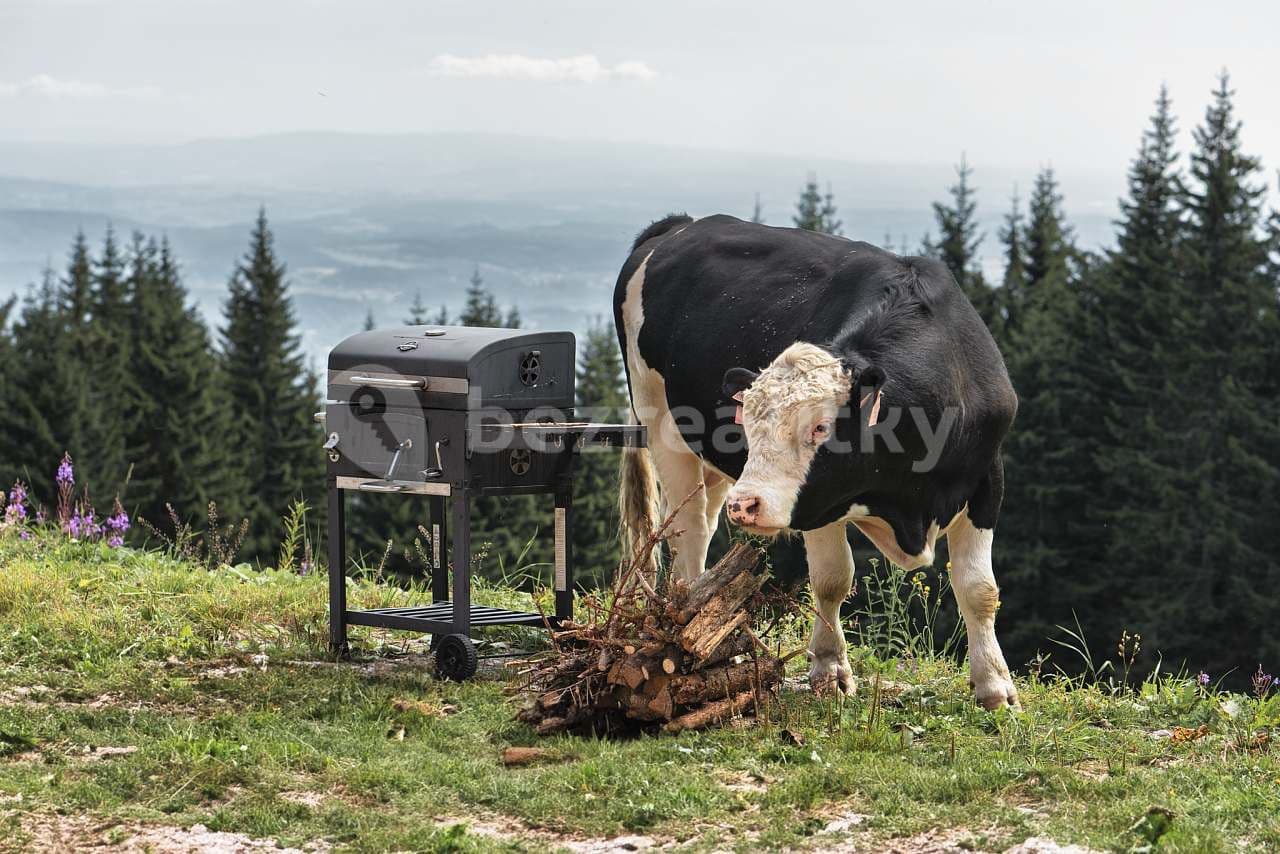 recreational property to rent, 0 m², Janské Lázně, Královéhradecký Region recreational property to rent, 0 m², Janské Lázně, Královéhradecký Region