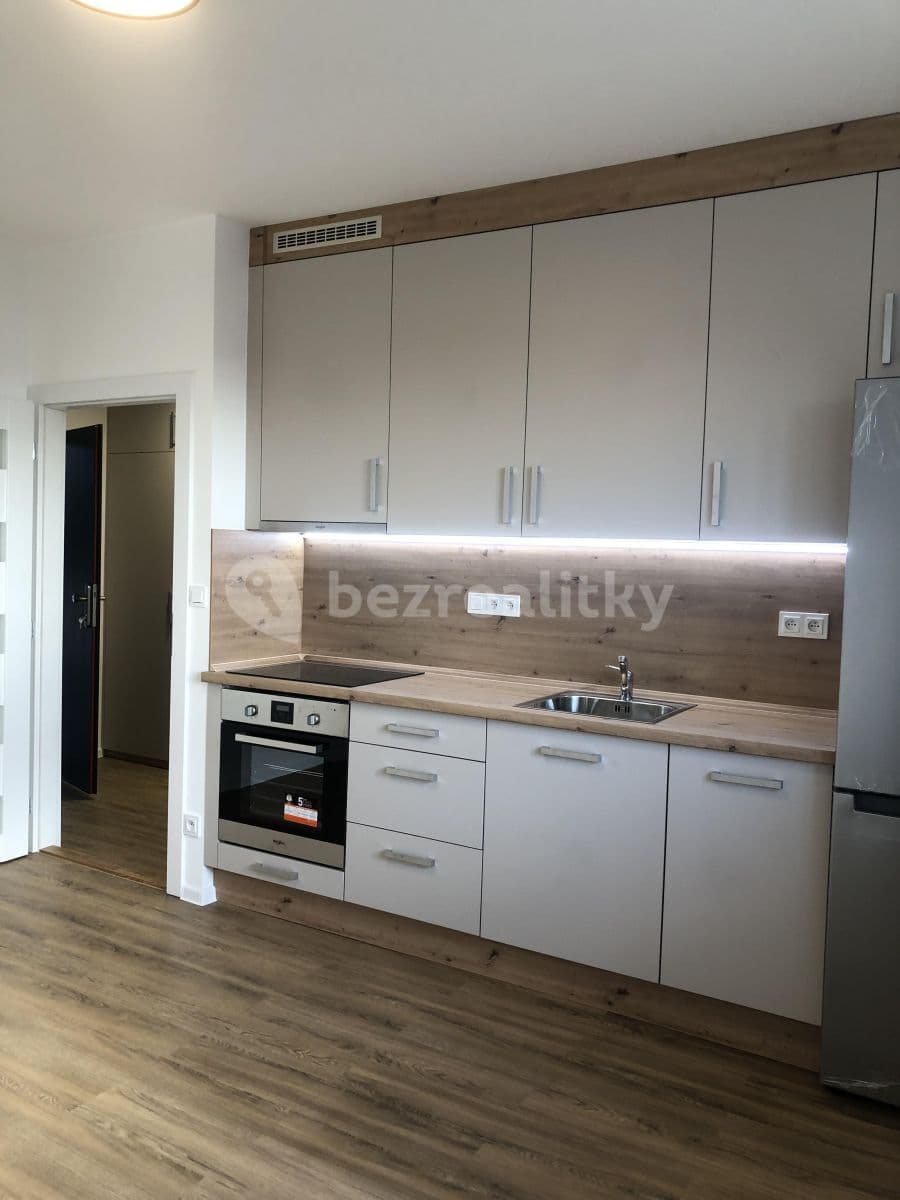 1 bedroom with open-plan kitchen flat to rent, 56 m², Na Vyhlídce, Prague, Prague 1 bedroom with open-plan kitchen flat to rent, 56 m², Na Vyhlídce, Prague, Prague