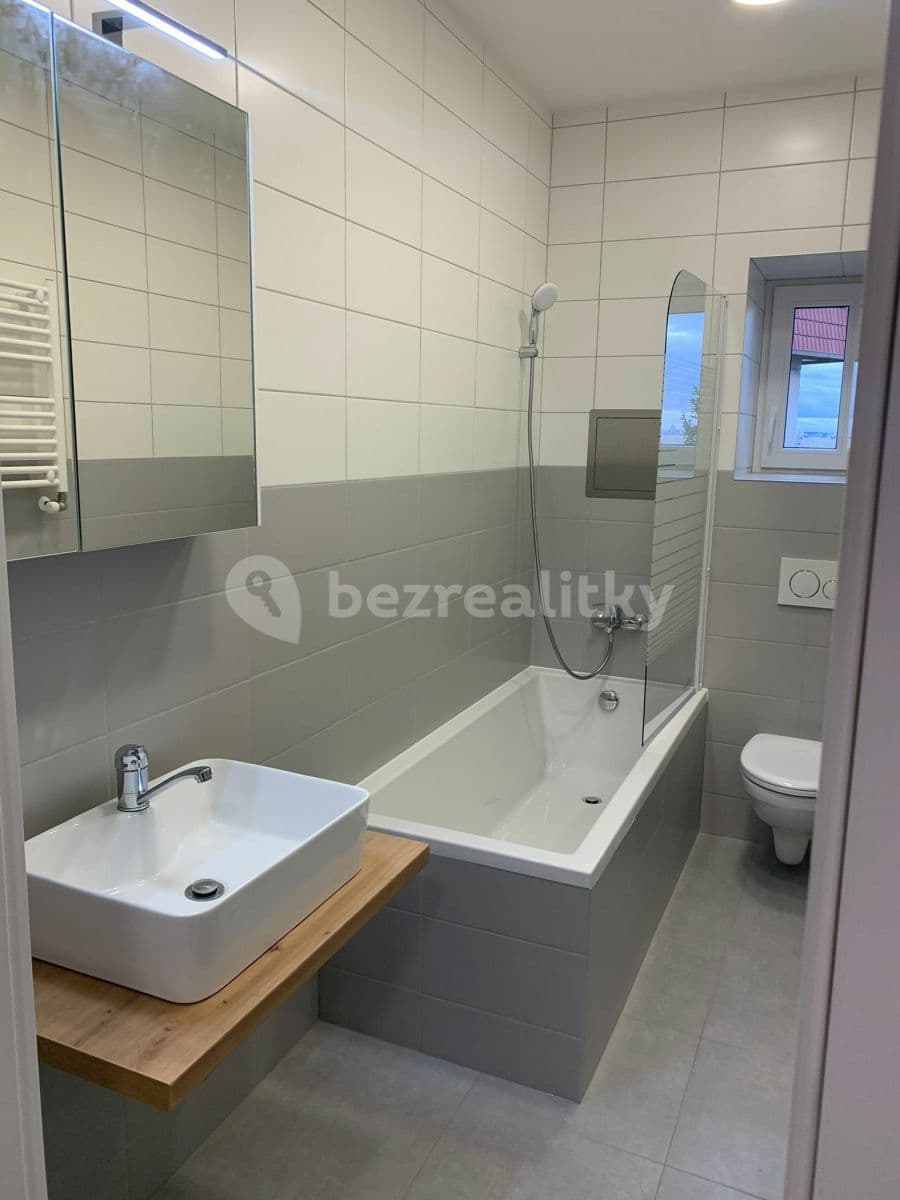 1 bedroom with open-plan kitchen flat to rent, 56 m², Na Vyhlídce, Prague, Prague 1 bedroom with open-plan kitchen flat to rent, 56 m², Na Vyhlídce, Prague, Prague