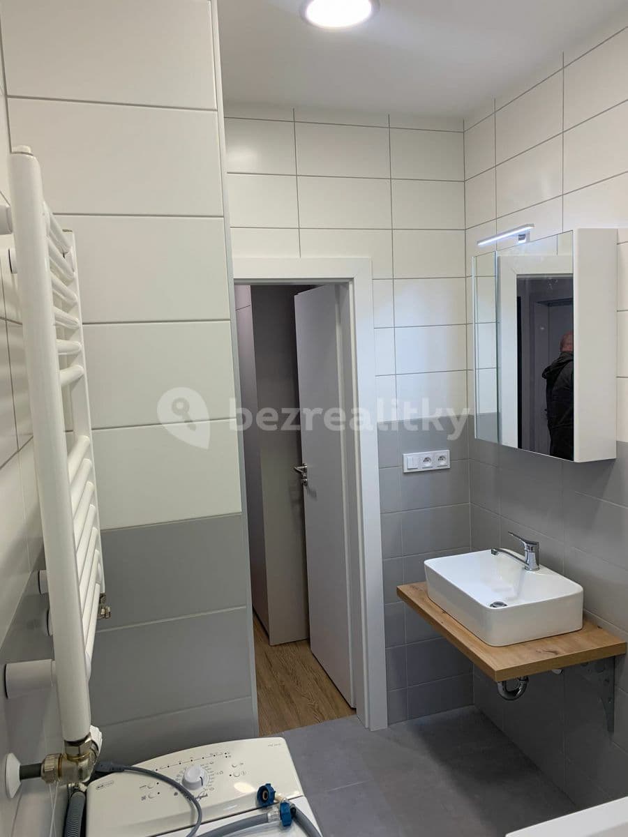 1 bedroom with open-plan kitchen flat to rent, 56 m², Na Vyhlídce, Prague, Prague 1 bedroom with open-plan kitchen flat to rent, 56 m², Na Vyhlídce, Prague, Prague
