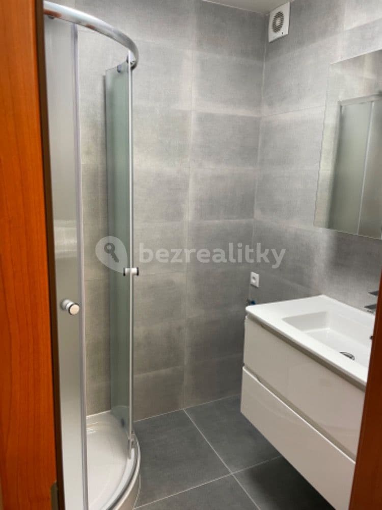 1 bedroom with open-plan kitchen flat to rent, 48 m², Amurská, Prague, Prague 1 bedroom with open-plan kitchen flat to rent, 48 m², Amurská, Prague, Prague