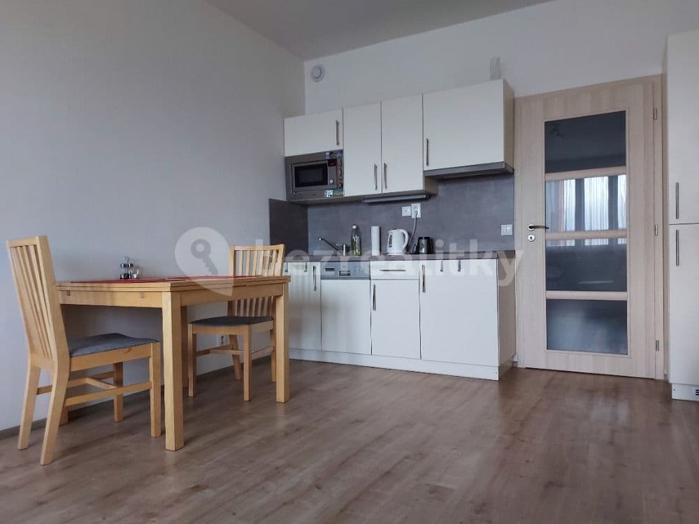 1 bedroom flat to rent, 33 m², Freyova, Prague, Prague 1 bedroom flat to rent, 33 m², Freyova, Prague, Prague