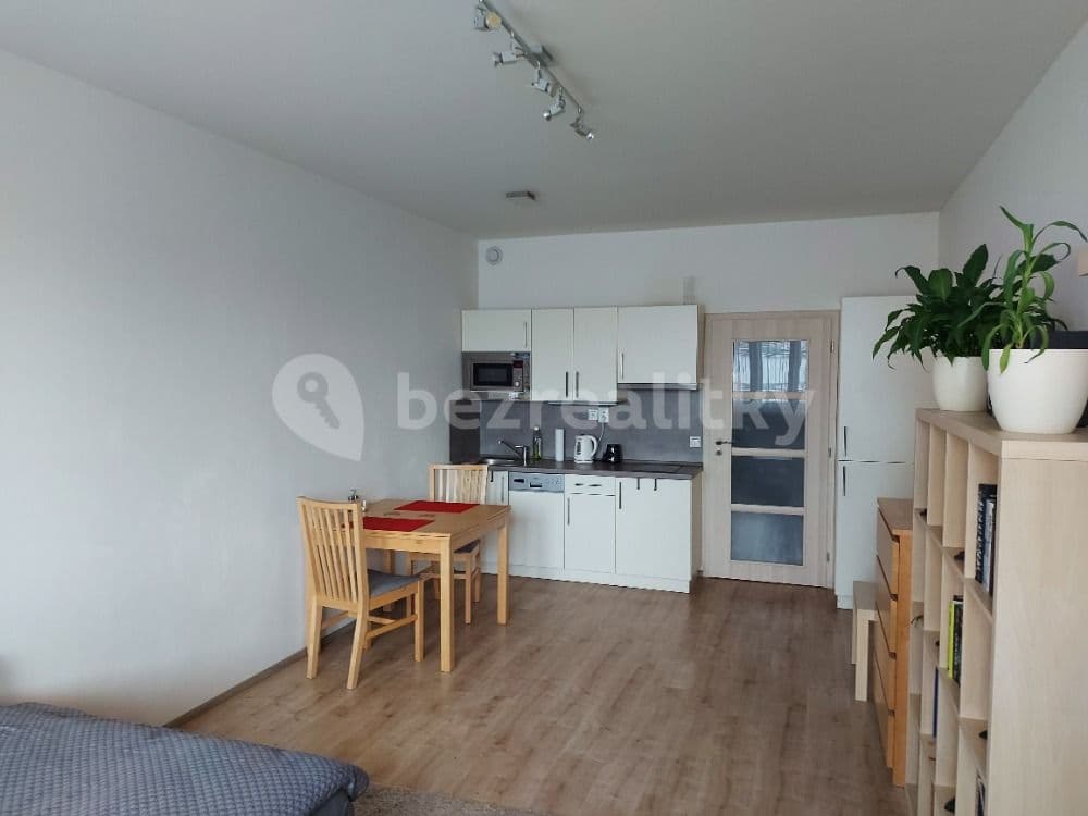 1 bedroom flat to rent, 33 m², Freyova, Prague, Prague 1 bedroom flat to rent, 33 m², Freyova, Prague, Prague