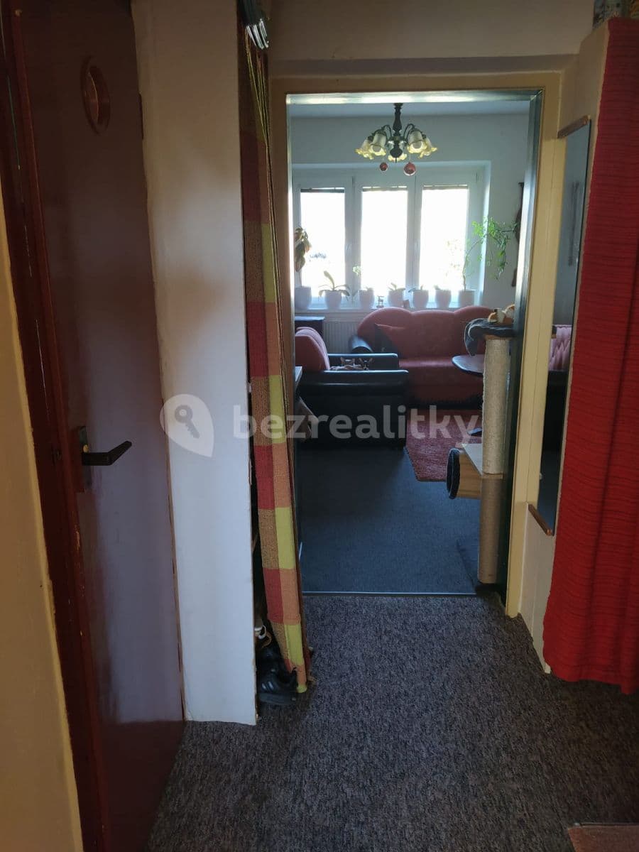 1 bedroom with open-plan kitchen flat to rent, 41 m², Těsná, Brno, Jihomoravský Region 1 bedroom with open-plan kitchen flat to rent, 41 m², Těsná, Brno, Jihomoravský Region