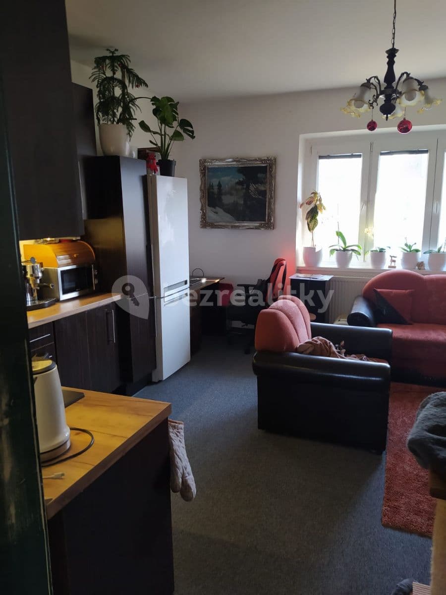 1 bedroom with open-plan kitchen flat to rent, 41 m², Těsná, Brno, Jihomoravský Region 1 bedroom with open-plan kitchen flat to rent, 41 m², Těsná, Brno, Jihomoravský Region