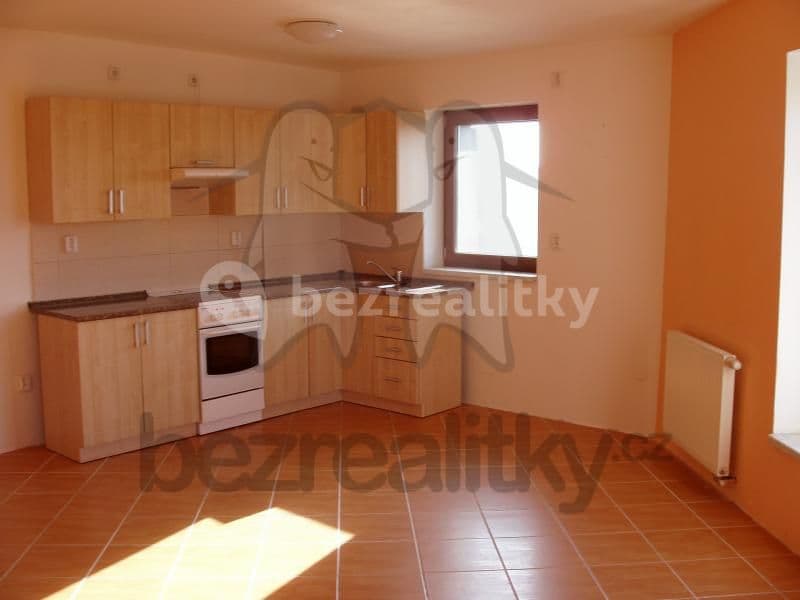 1 bedroom with open-plan kitchen flat to rent, 50 m², Dářská, Prague, Prague 1 bedroom with open-plan kitchen flat to rent, 50 m², Dářská, Prague, Prague