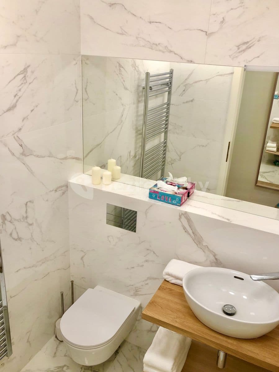 Studio flat to rent, 28 m², Lucemburská, Prague, Prague Studio flat to rent, 28 m², Lucemburská, Prague, Prague