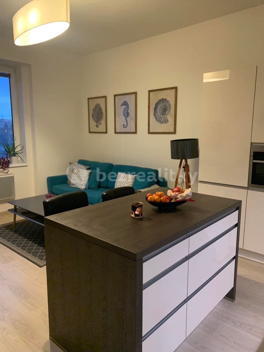 1 bedroom with open-plan kitchen flat to rent, 55 m², V Závětří, Prague, Prague 1 bedroom with open-plan kitchen flat to rent, 55 m², V Závětří, Prague, Prague