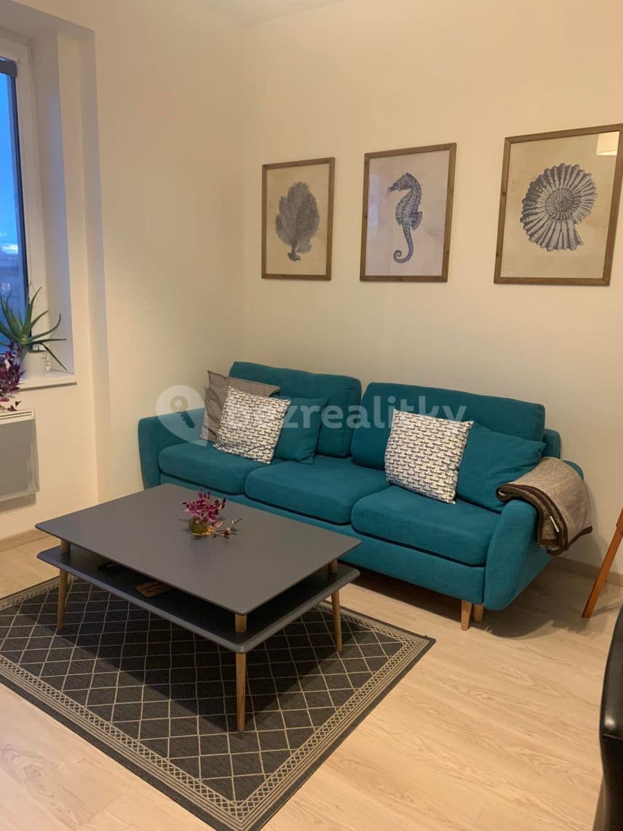 1 bedroom with open-plan kitchen flat to rent, 55 m², V Závětří, Prague, Prague 1 bedroom with open-plan kitchen flat to rent, 55 m², V Závětří, Prague, Prague