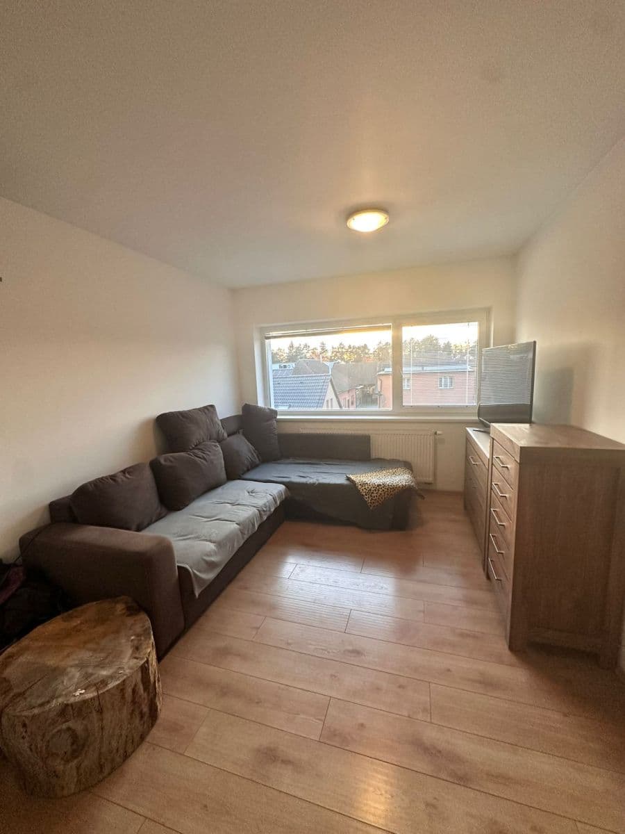 1 bedroom with open-plan kitchen flat to rent, 46 m², Za Nadýmačem, Prague, Prague 1 bedroom with open-plan kitchen flat to rent, 46 m², Za Nadýmačem, Prague, Prague