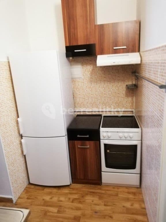 1 bedroom with open-plan kitchen flat to rent, 45 m², Za Pohořelcem, Prague, Prague 1 bedroom with open-plan kitchen flat to rent, 45 m², Za Pohořelcem, Prague, Prague