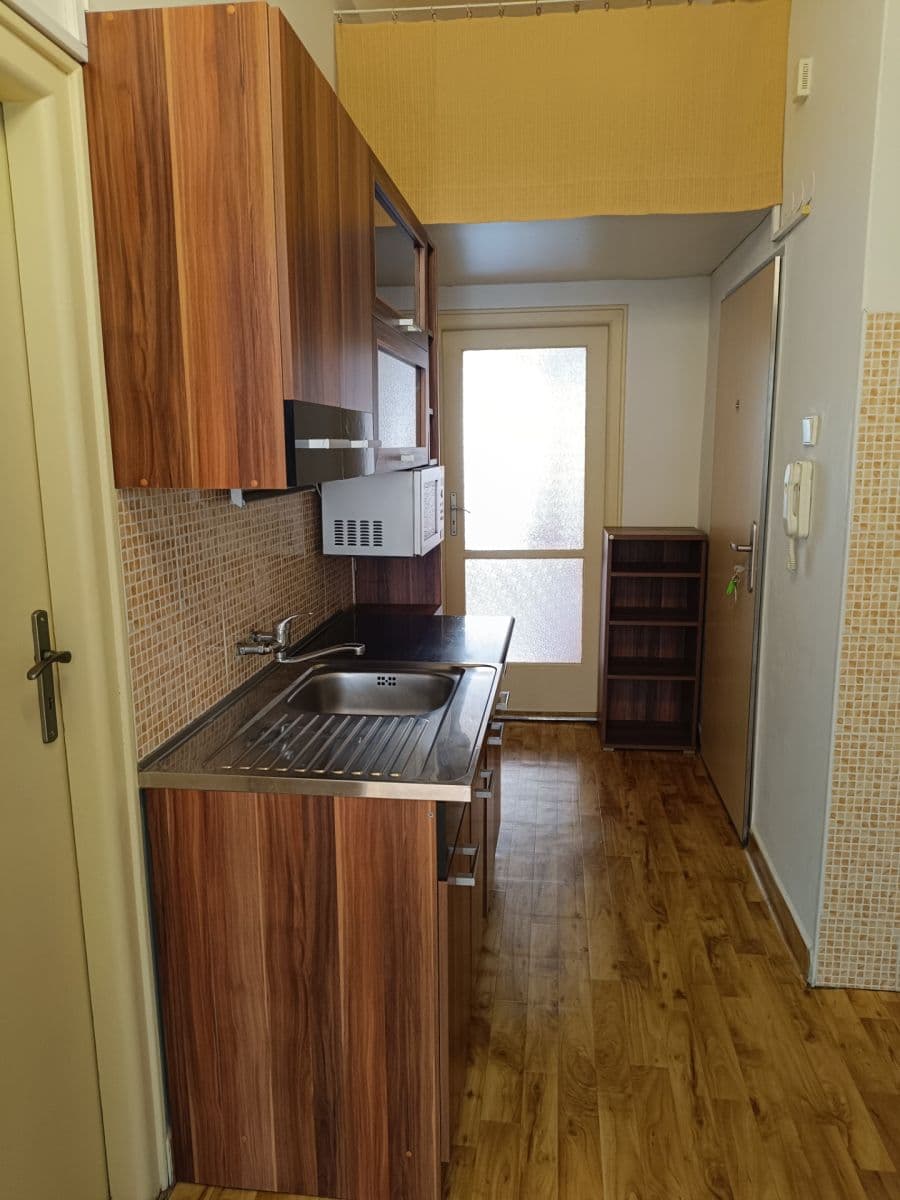 1 bedroom with open-plan kitchen flat to rent, 45 m², Za Pohořelcem, Prague, Prague 1 bedroom with open-plan kitchen flat to rent, 45 m², Za Pohořelcem, Prague, Prague