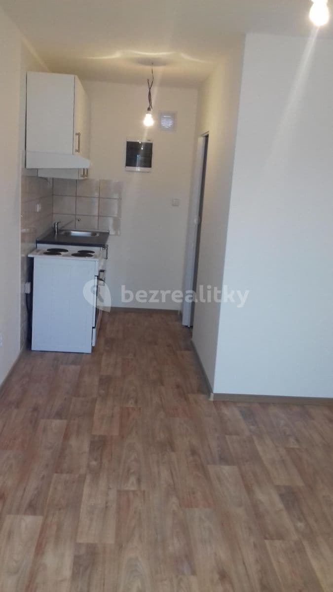 Small studio flat to rent, 18 m², Neuměřice, Středočeský Region Small studio flat to rent, 18 m², Neuměřice, Středočeský Region