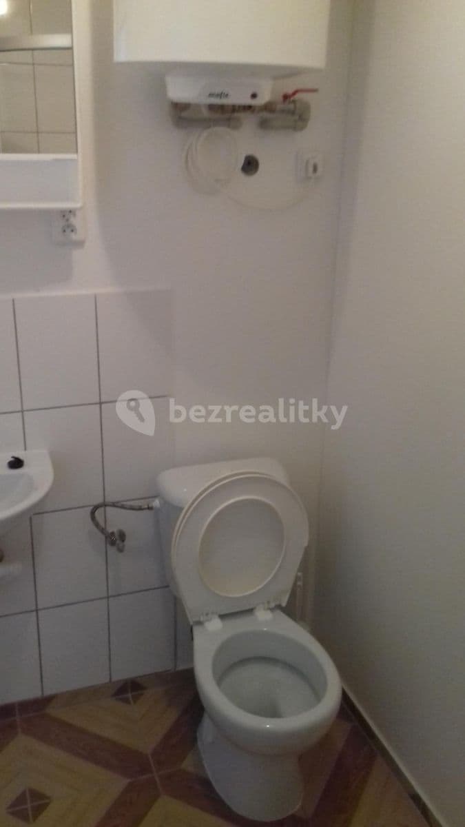 Small studio flat to rent, 18 m², Neuměřice, Středočeský Region Small studio flat to rent, 18 m², Neuměřice, Středočeský Region