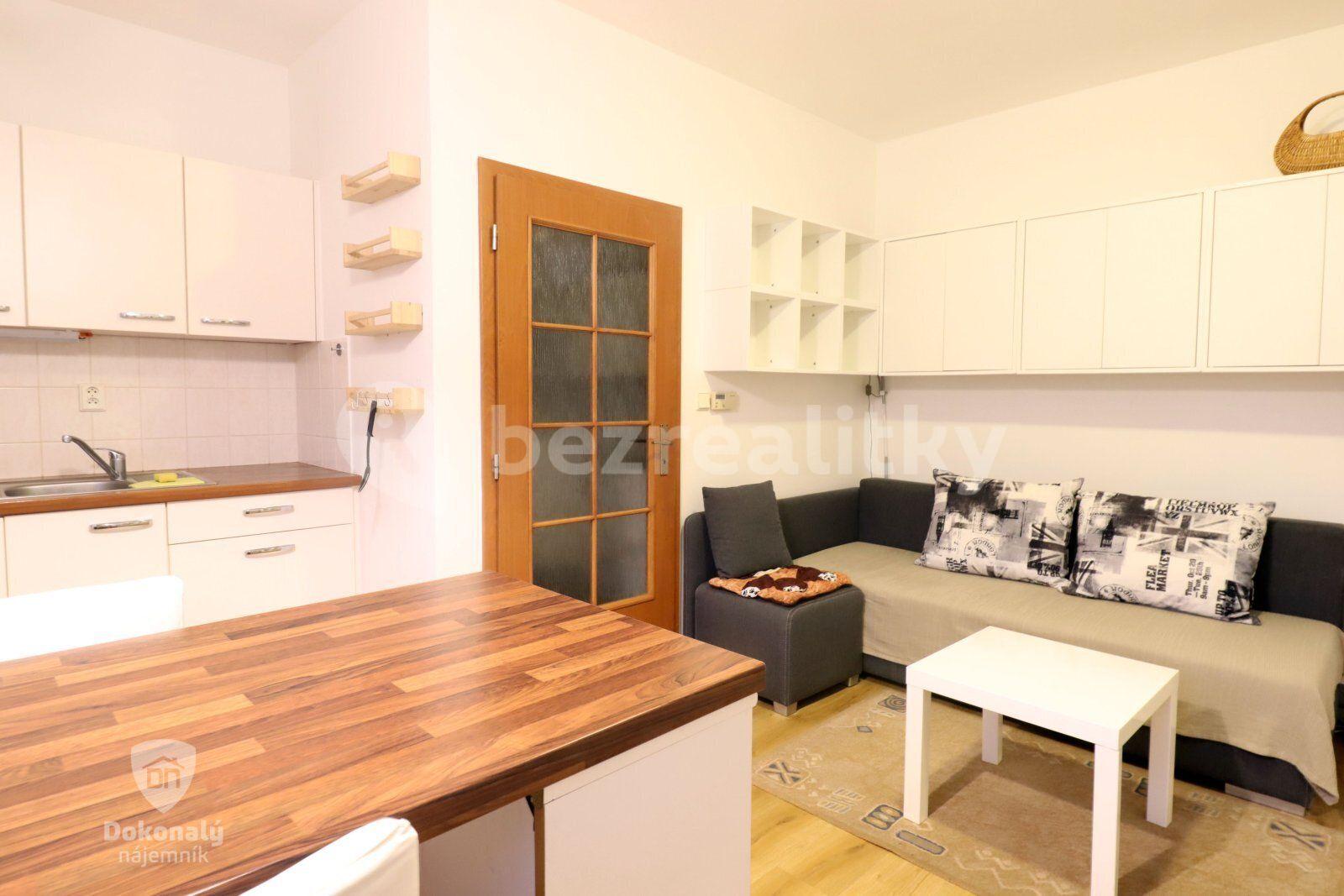 1 bedroom with open-plan kitchen flat to rent, 34 m², Palackého, Jílové u Prahy, Středočeský Region