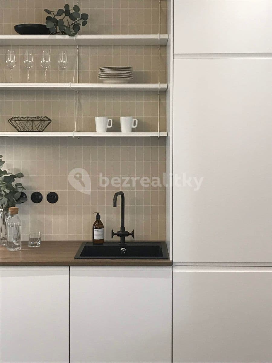1 bedroom with open-plan kitchen flat to rent, 66 m², Štefánikova, Prague, Prague 1 bedroom with open-plan kitchen flat to rent, 66 m², Štefánikova, Prague, Prague