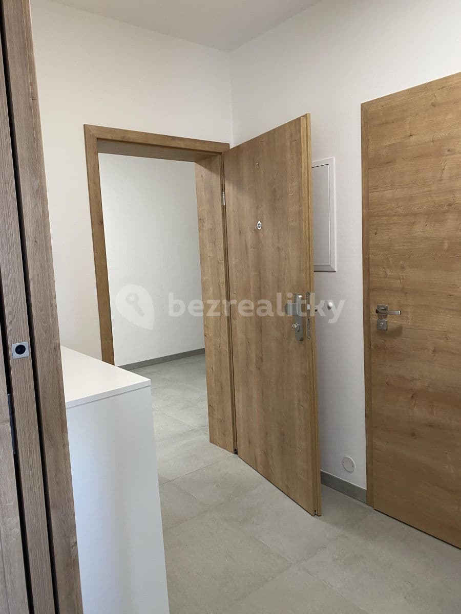 1 bedroom with open-plan kitchen flat to rent, 48 m², Břetislavova, Brno, Jihomoravský Region 1 bedroom with open-plan kitchen flat to rent, 48 m², Břetislavova, Brno, Jihomoravský Region