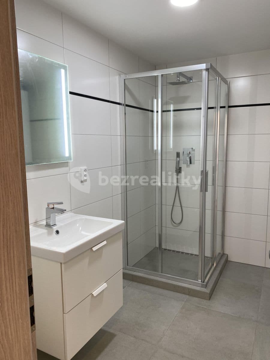 1 bedroom with open-plan kitchen flat to rent, 48 m², Břetislavova, Brno, Jihomoravský Region 1 bedroom with open-plan kitchen flat to rent, 48 m², Břetislavova, Brno, Jihomoravský Region