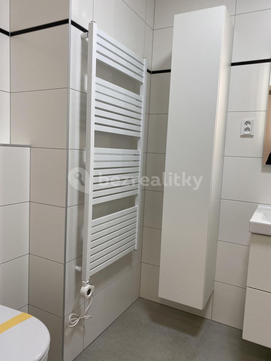 1 bedroom with open-plan kitchen flat to rent, 48 m², Břetislavova, Brno, Jihomoravský Region 1 bedroom with open-plan kitchen flat to rent, 48 m², Břetislavova, Brno, Jihomoravský Region