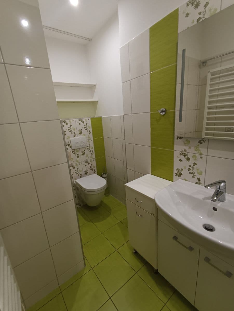 1 bedroom with open-plan kitchen flat to rent, 54 m², Husovická, Brno, Jihomoravský Region 1 bedroom with open-plan kitchen flat to rent, 54 m², Husovická, Brno, Jihomoravský Region