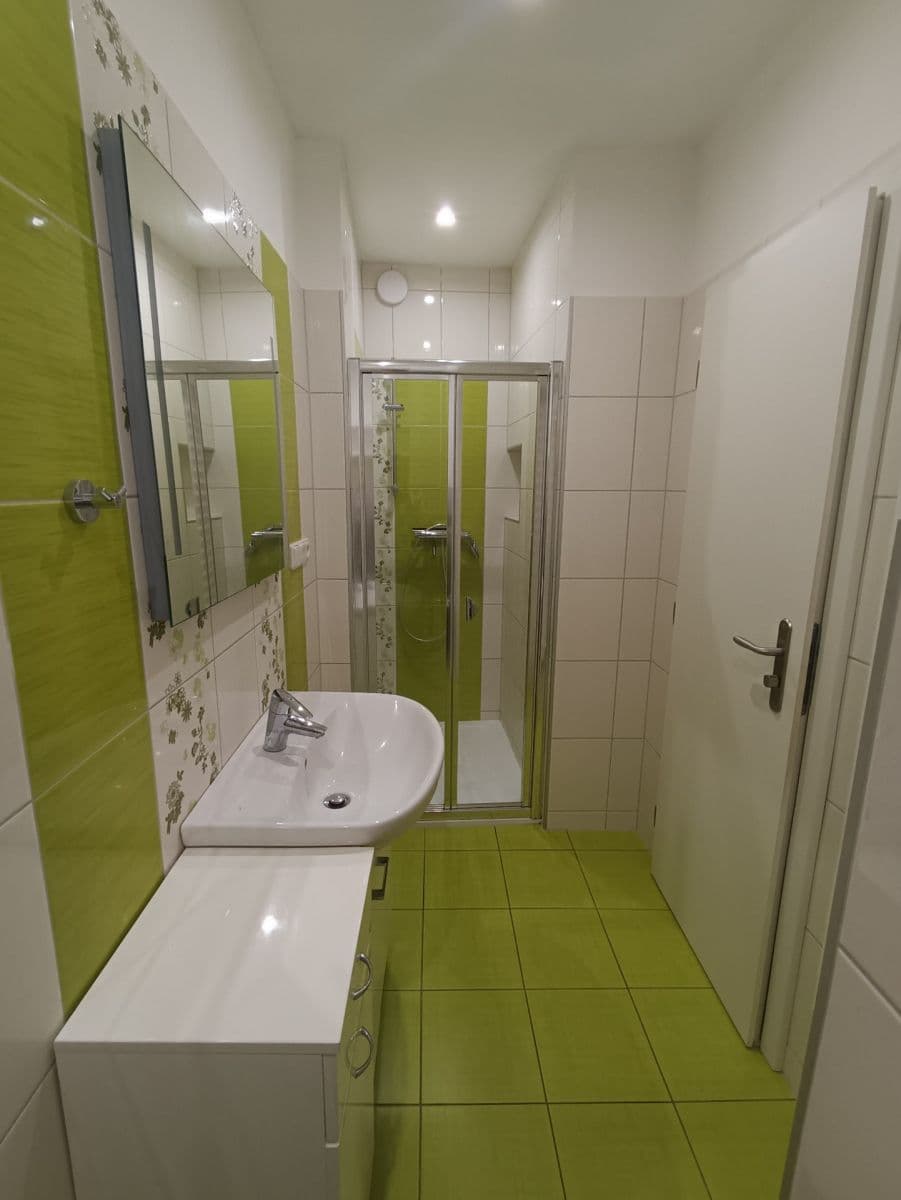 1 bedroom with open-plan kitchen flat to rent, 54 m², Husovická, Brno, Jihomoravský Region 1 bedroom with open-plan kitchen flat to rent, 54 m², Husovická, Brno, Jihomoravský Region