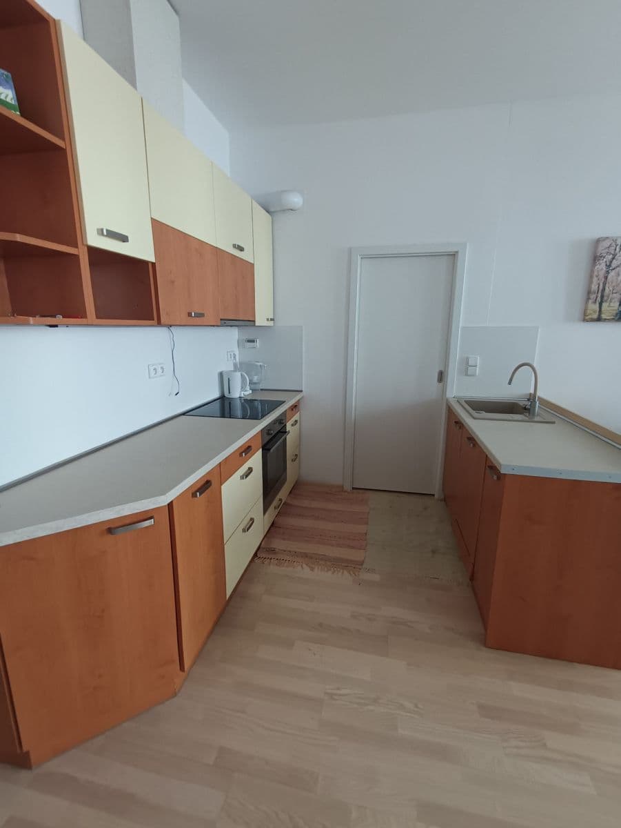 1 bedroom with open-plan kitchen flat to rent, 54 m², Husovická, Brno, Jihomoravský Region 1 bedroom with open-plan kitchen flat to rent, 54 m², Husovická, Brno, Jihomoravský Region