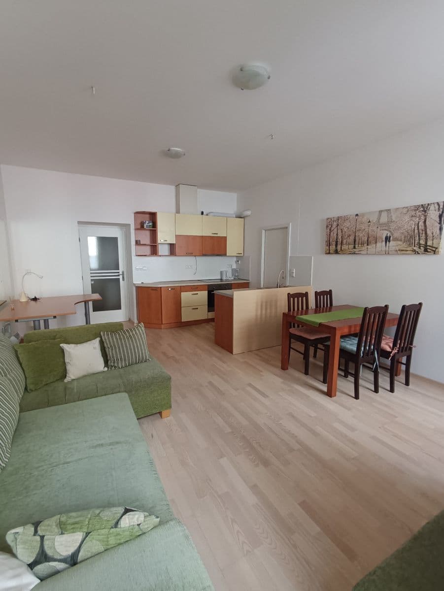 1 bedroom with open-plan kitchen flat to rent, 54 m², Husovická, Brno, Jihomoravský Region 1 bedroom with open-plan kitchen flat to rent, 54 m², Husovická, Brno, Jihomoravský Region