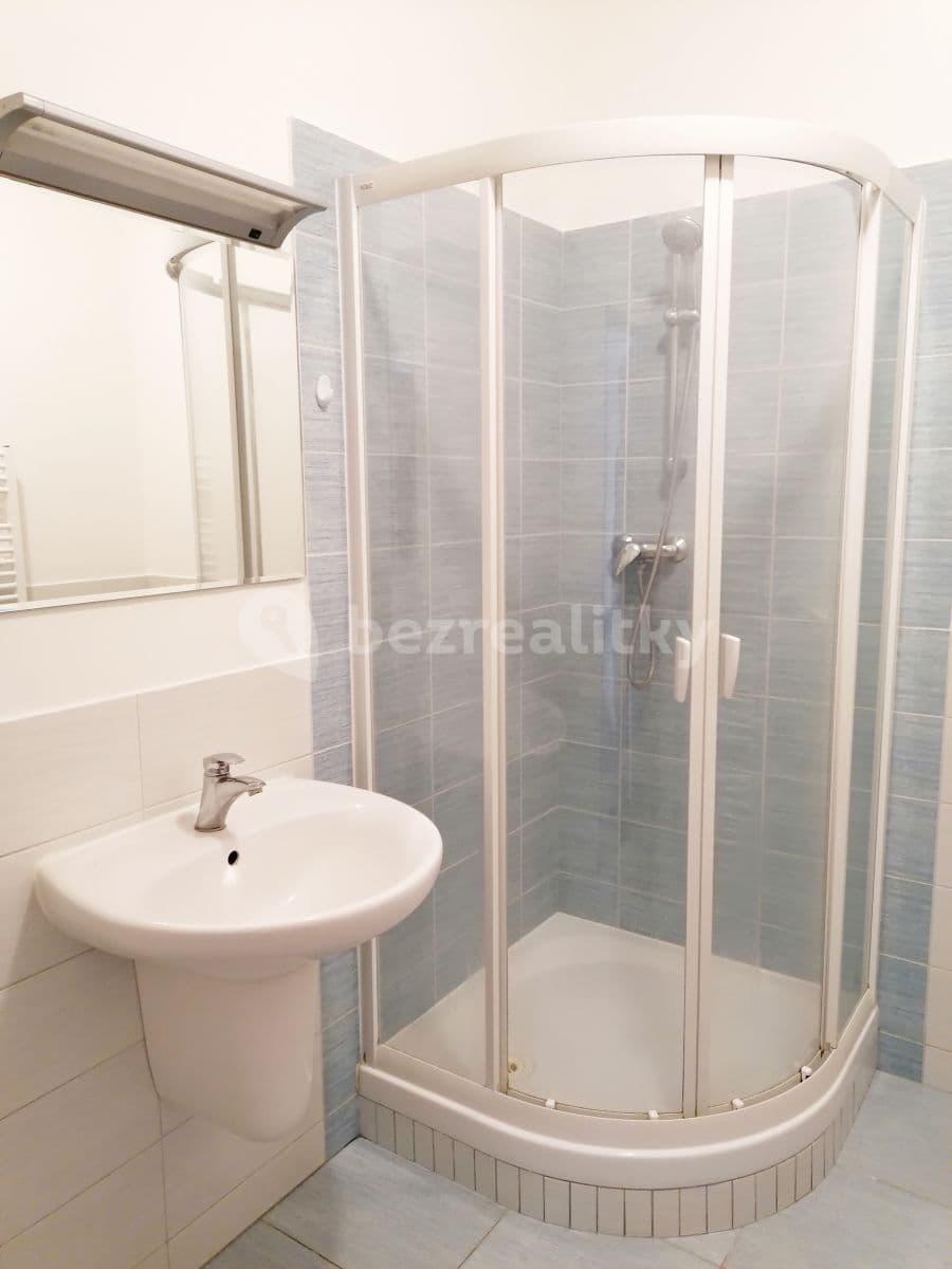 Studio flat to rent, 48 m², Neklež, Brno, Jihomoravský Region Studio flat to rent, 48 m², Neklež, Brno, Jihomoravský Region