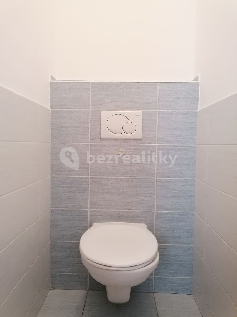 Studio flat to rent, 48 m², Neklež, Brno, Jihomoravský Region Studio flat to rent, 48 m², Neklež, Brno, Jihomoravský Region