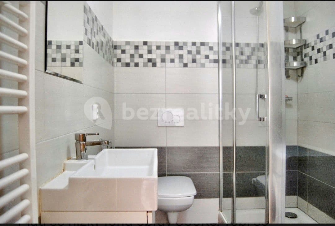 1 bedroom with open-plan kitchen flat to rent, 50 m², Vlhká, Brno, Jihomoravský Region 1 bedroom with open-plan kitchen flat to rent, 50 m², Vlhká, Brno, Jihomoravský Region