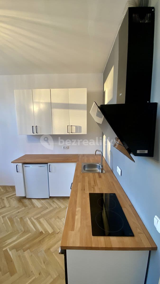 1 bedroom with open-plan kitchen flat to rent, 50 m², Vlhká, Brno, Jihomoravský Region 1 bedroom with open-plan kitchen flat to rent, 50 m², Vlhká, Brno, Jihomoravský Region