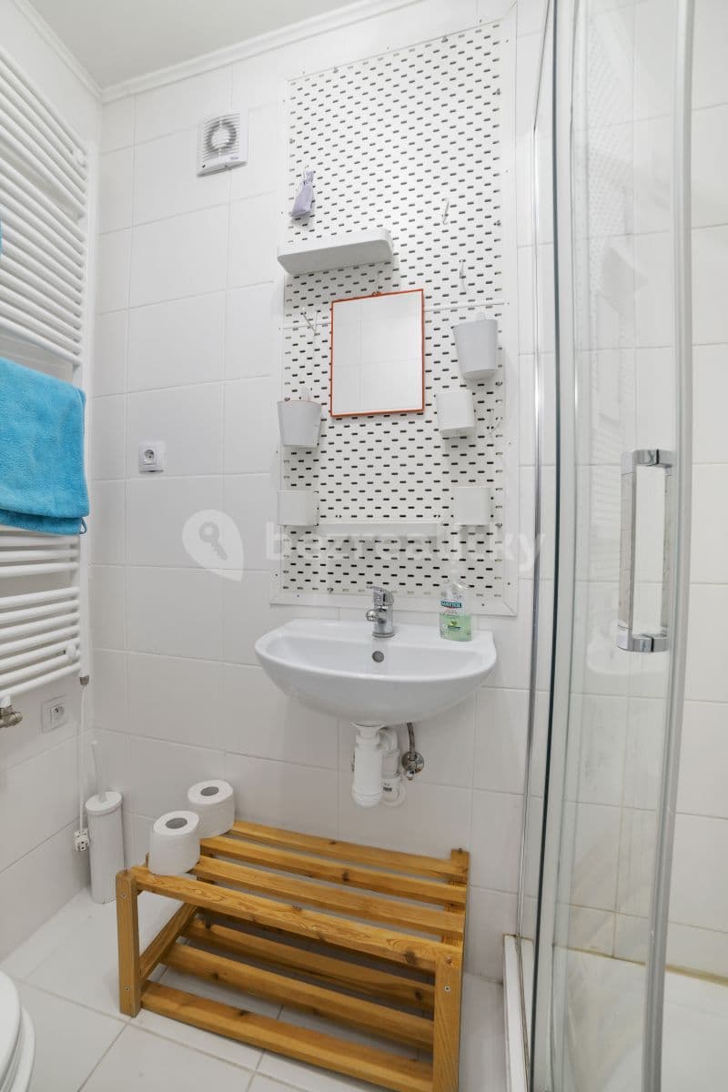 1 bedroom with open-plan kitchen flat to rent, 35 m², Ondřejovská, Mnichovice, Středočeský Region 1 bedroom with open-plan kitchen flat to rent, 35 m², Ondřejovská, Mnichovice, Středočeský Region