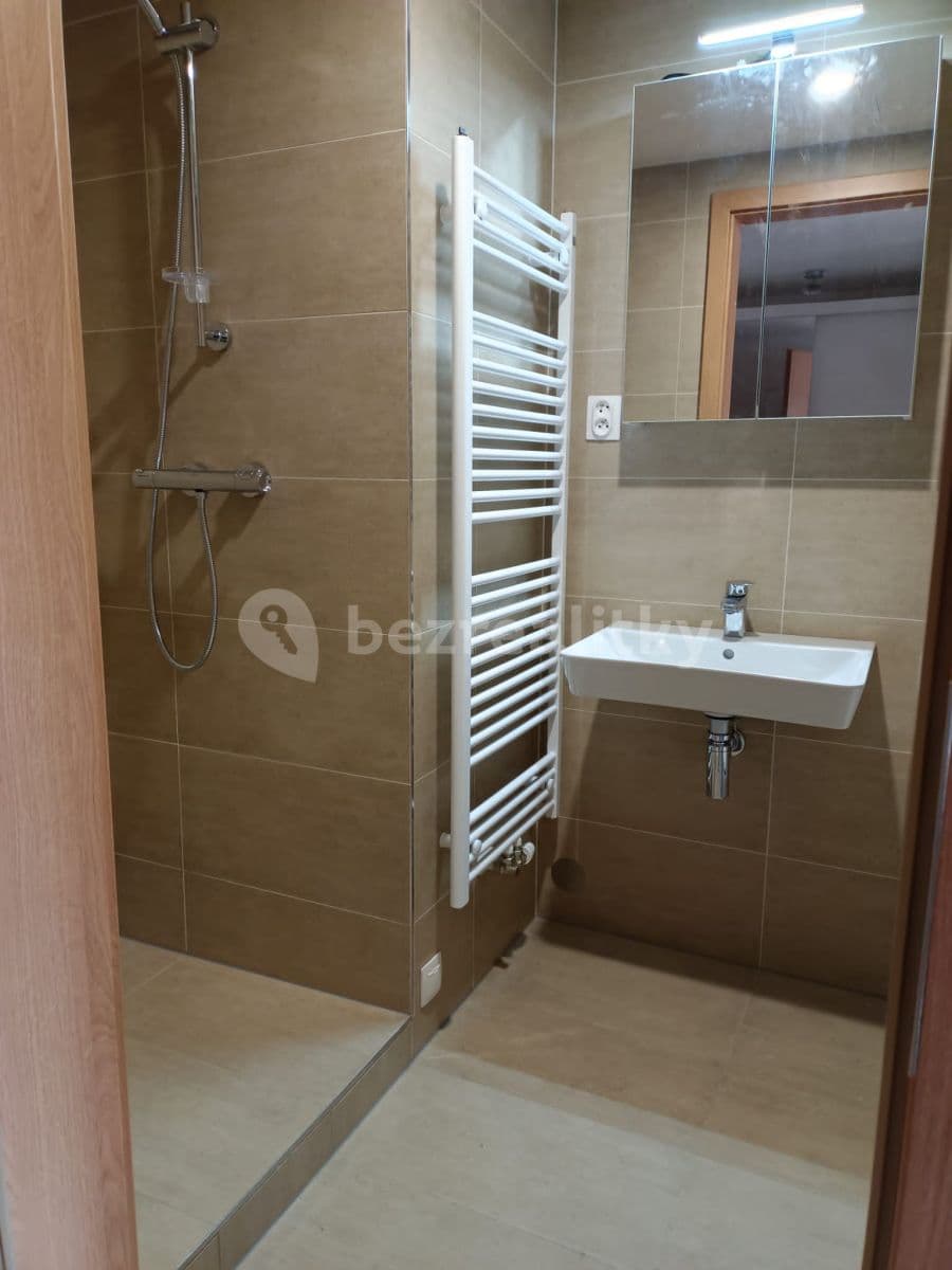 1 bedroom with open-plan kitchen flat to rent, 61 m², Vrátnická, Prague, Prague 1 bedroom with open-plan kitchen flat to rent, 61 m², Vrátnická, Prague, Prague