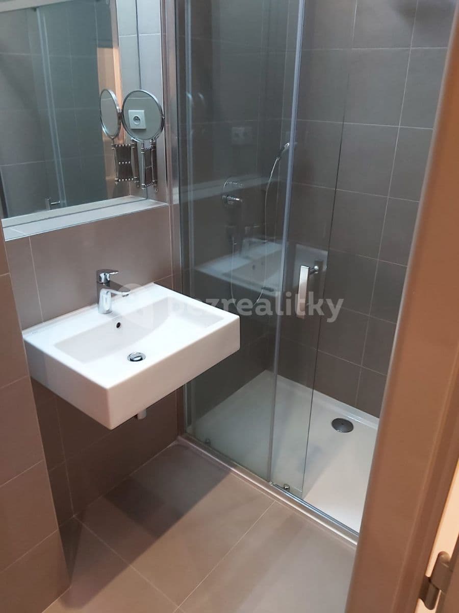 1 bedroom with open-plan kitchen flat to rent, 52 m², Chocholouškova, Prague, Prague 1 bedroom with open-plan kitchen flat to rent, 52 m², Chocholouškova, Prague, Prague