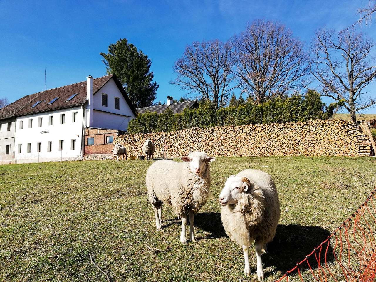 recreational property to rent, 0 m², Nová Pec, Jihočeský Region recreational property to rent, 0 m², Nová Pec, Jihočeský Region