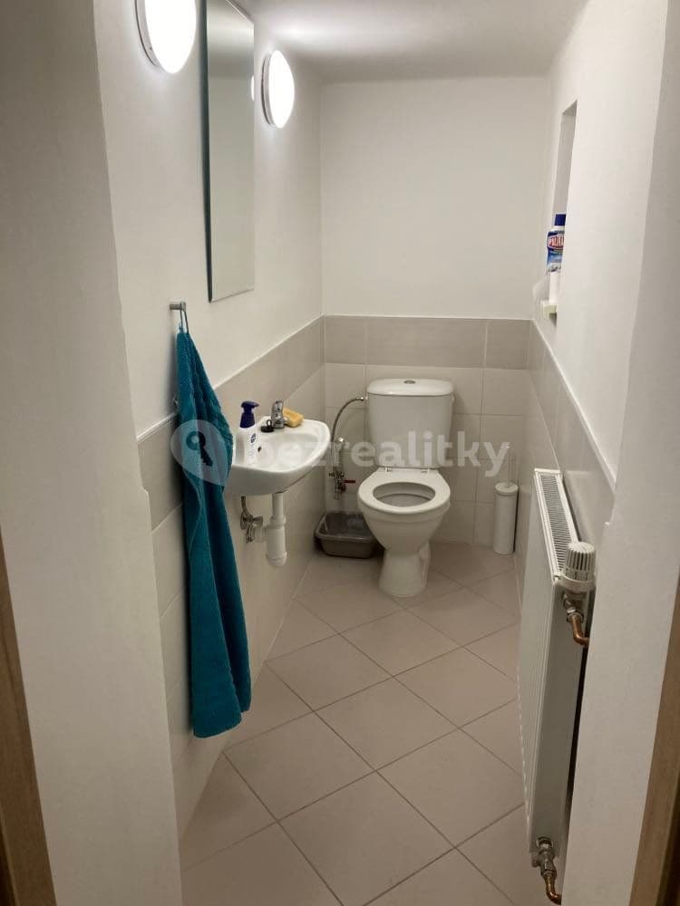 1 bedroom with open-plan kitchen flat to rent, 42 m², Netušilova, Brno, Jihomoravský Region 1 bedroom with open-plan kitchen flat to rent, 42 m², Netušilova, Brno, Jihomoravský Region